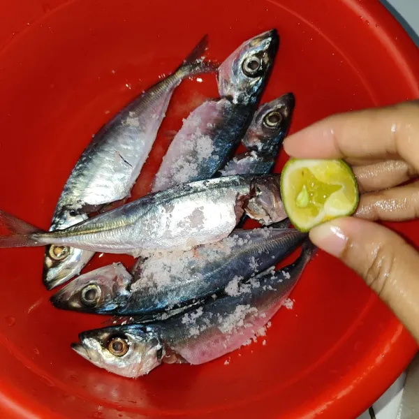 Setelah ikan di cuci bersih, kemudian lumuri dengan garam halus, dan beri perasan jeruk nipis, diamkan sebentar.