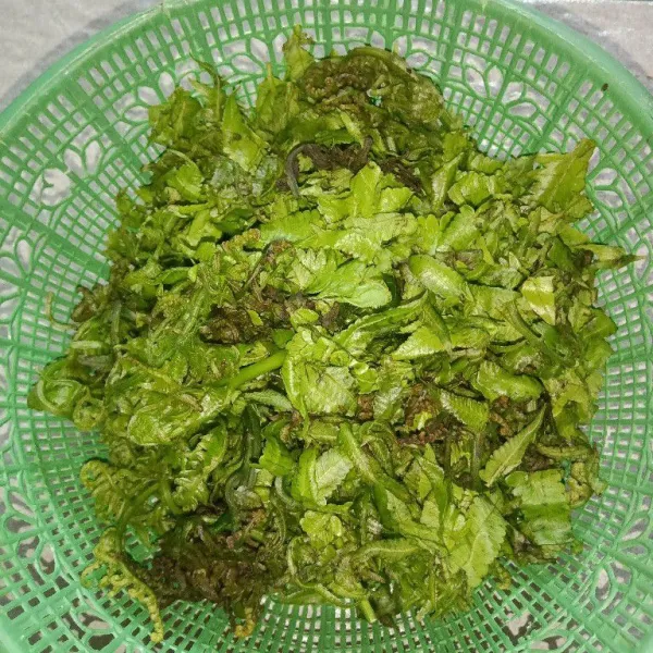 Lepaskan daun pakis dari batangnya.
