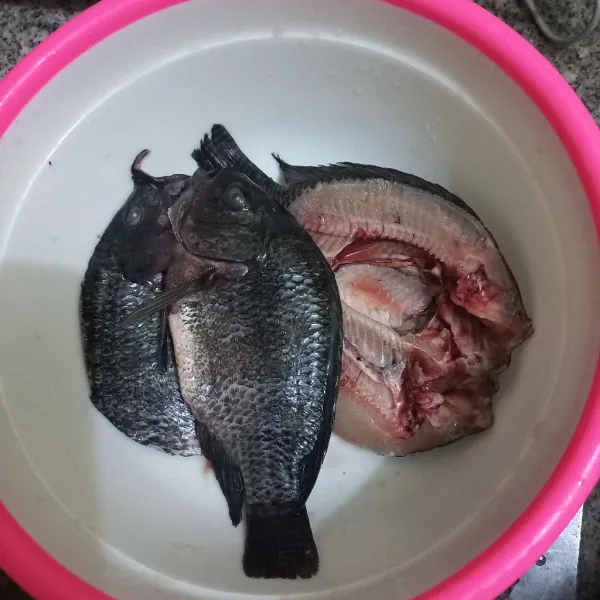 Belah tipis ikan nila.