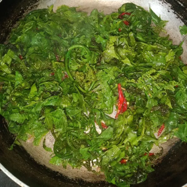 Masukkan pakis, tambahkan garam, gula dan penyedap, aduk rata.