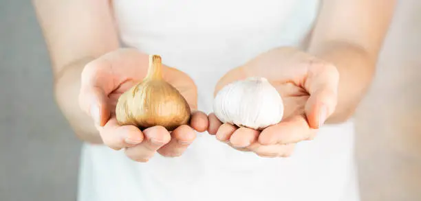 Ilustrasi Black Garlic dengan Bawang Putih biasa