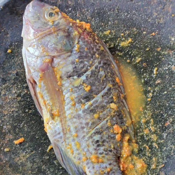 Masukkan ikan ke dalam bumbu marinasi, oles merata .