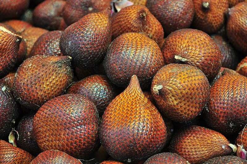 salak bali