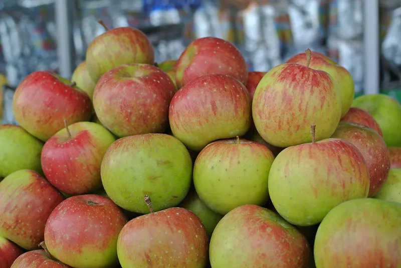 apel khas Malang