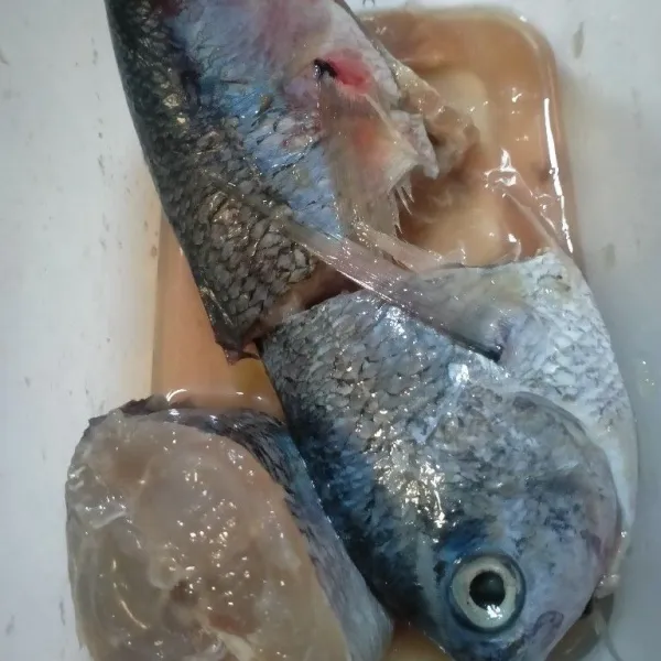 Potong ikan Ketamba sesuai selera lalu cuci bersih. Balurkan garam secukupnya.
