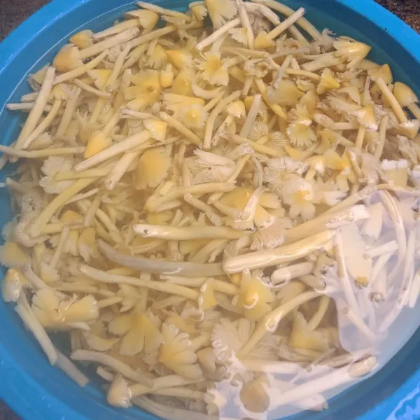 Cuci sampai 5 kali sampai bersih agar tidak ada tanah yang menempel.