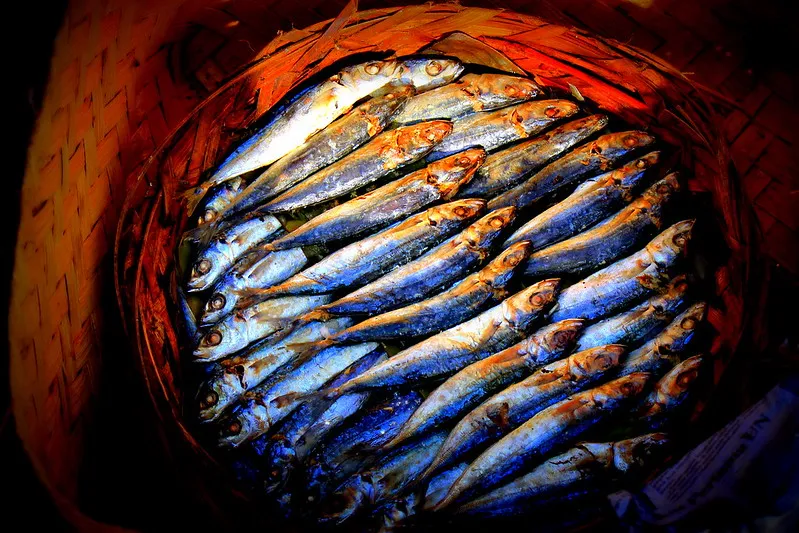 pindang ikan makanan khas sumatera selatan