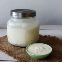 Yogurt Homemade