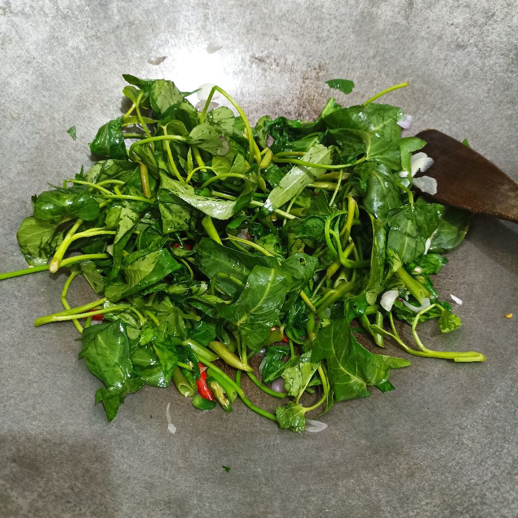 Langkah 5
