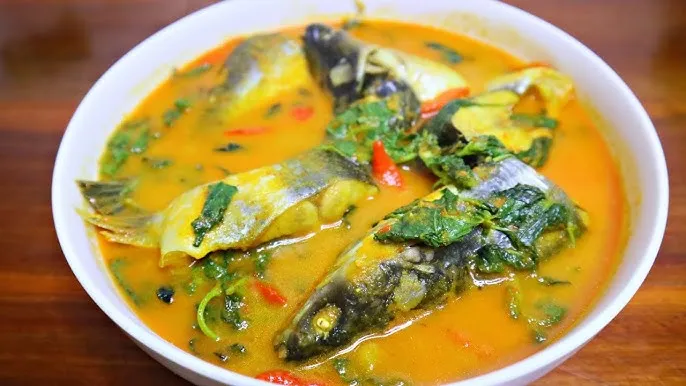 gulai ikan patin makanan khas sumatera barat