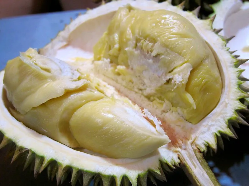 durian medan