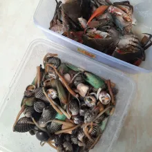 Cuci bersih kepiting dan kerang.