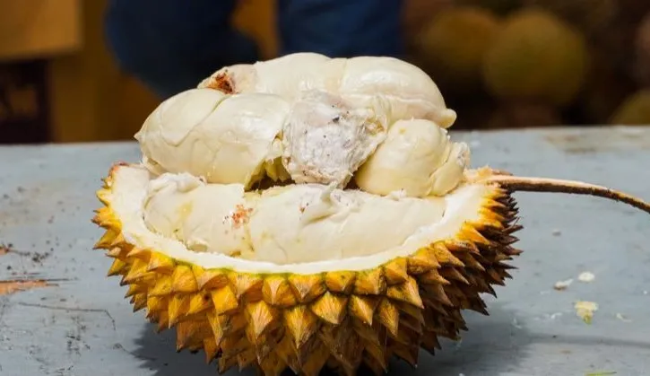 durian medan oleh oleh khas medan