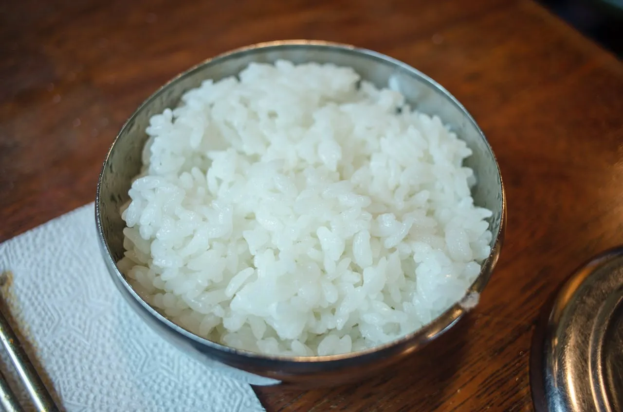 semangkuk nasi putih