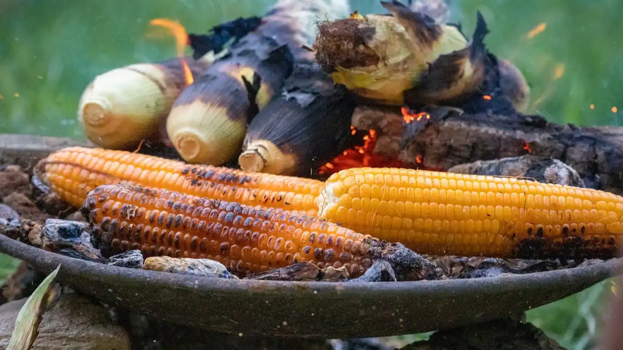 ilustrasi jagung bakar (pixabay.com/anuppanthi)