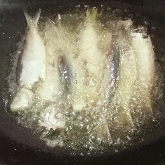Kemudian goreng ikan tobi sampai sedikit kering atau garing, sisihkan.