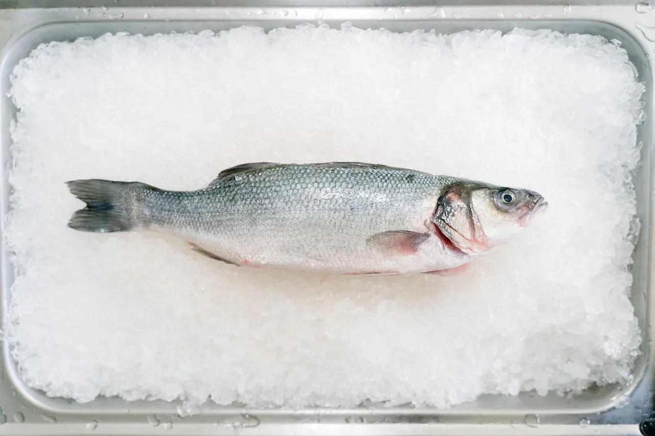 5 Cara Menyimpan Ikan di Kulkas agar Awet dan Tetap Segar