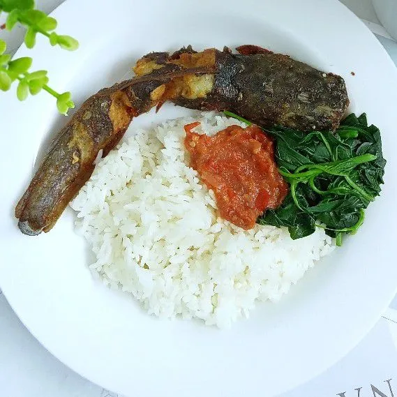 Sajikan lele, nasi hangat, sambal dan lalapan bayam.