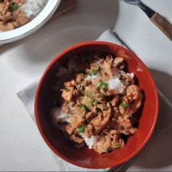 Salmon Teriyaki Rice Bowl