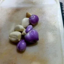 Kupas kulit bawang merah dan bawang putih lalu masukkan kedalam choper.