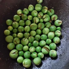Keprok rimbang, lalu goreng hingga berubah warna.