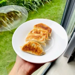 Gyoza