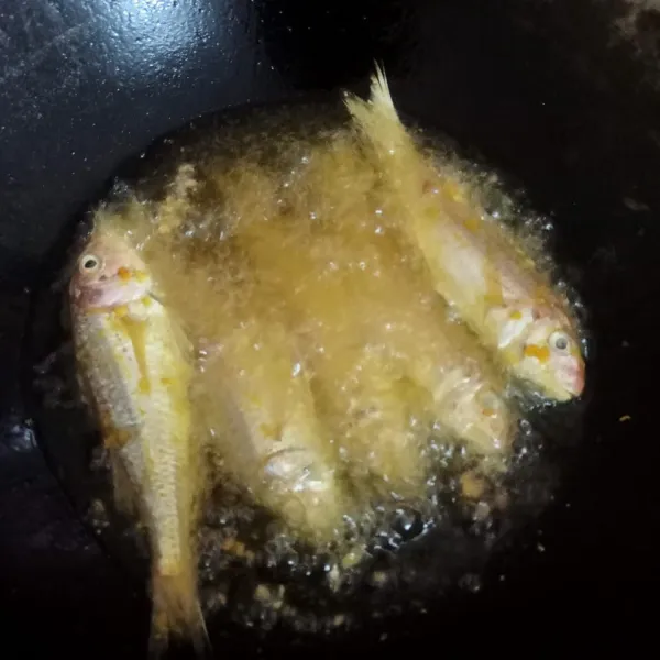 Goreng ikan kurisi dengan api sedang.