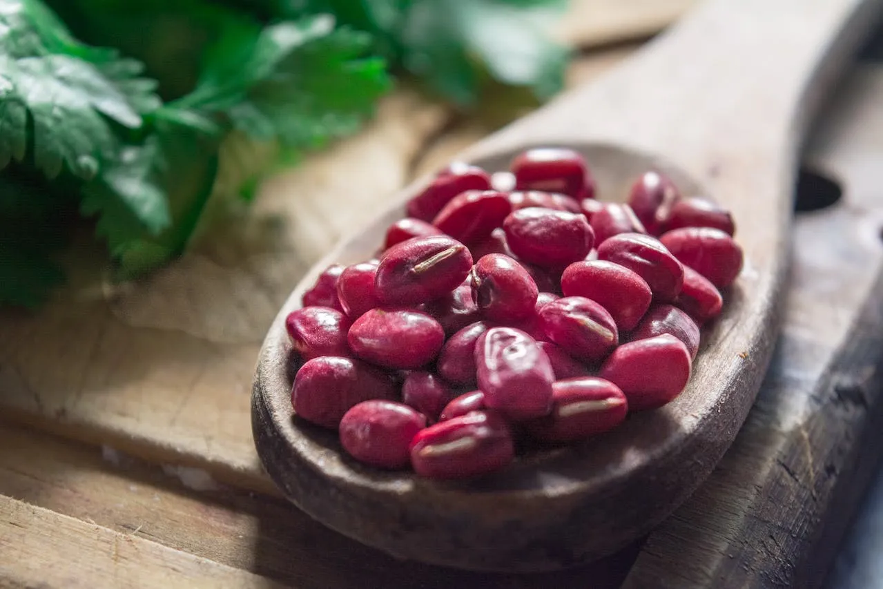 kacang merah kaya protein
