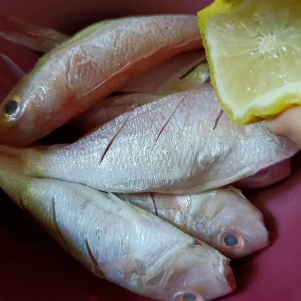 Marinasi ikan dengan garam dan jeruk nipis.