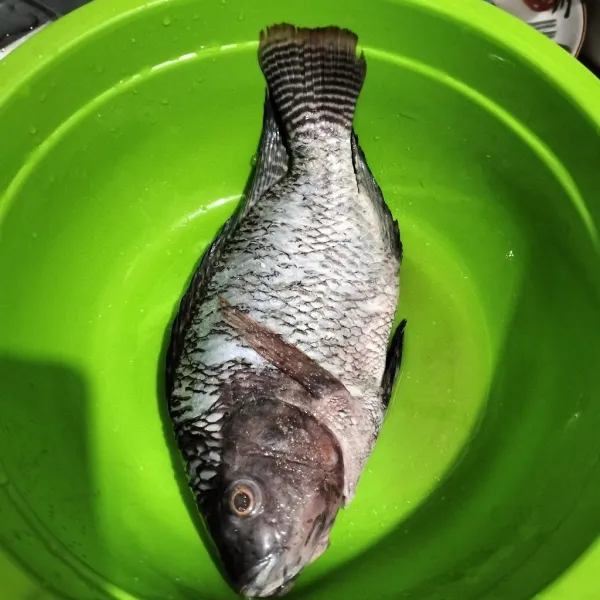 Lumuri ikan nila dengan garam dan penyedap. Goreng sampai matang, sisihkan.