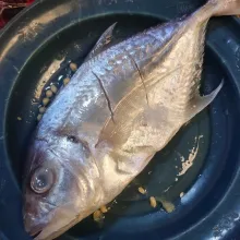 Bersihkan ikan kuwe, beri air jeruk nipis dan diamkan beberapa menit, bilas.