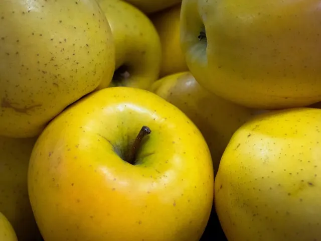 jenis apel golden delicious atau apel kuning