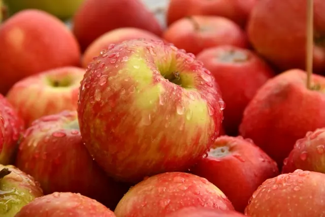 10 Jenis Apel Paling Populer di Dunia, Sudah Pernah Cicip?