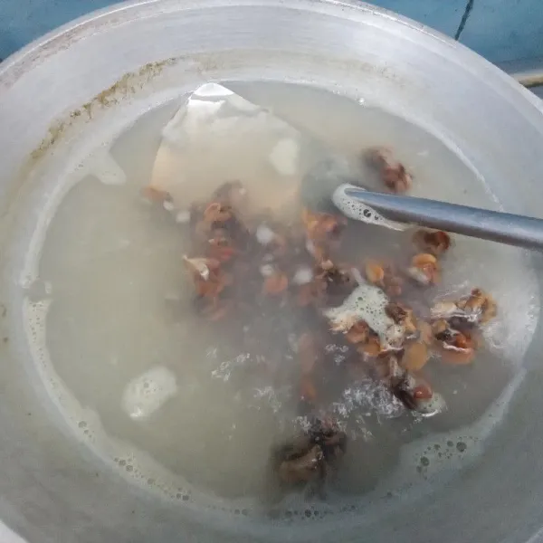 Siapkan semua bahan. Cuci bersih kerang hingga benar benar bersih. Siapkan wajan, masukkan air dan rebus hingga setengah matang. Tiriskan.