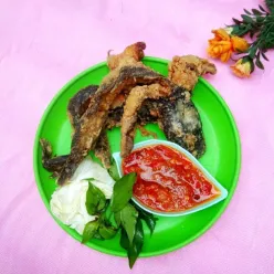 Lele Goreng Garing Sambal Terasi