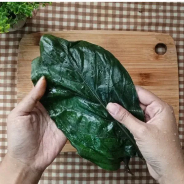Siapkan daun mengkudu
