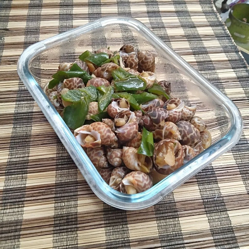 Kerang Macam Cabe Hijau