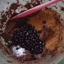 Masukan choco chips, dan sisa bahan lainnya. Lalu aduk dengan spatula.