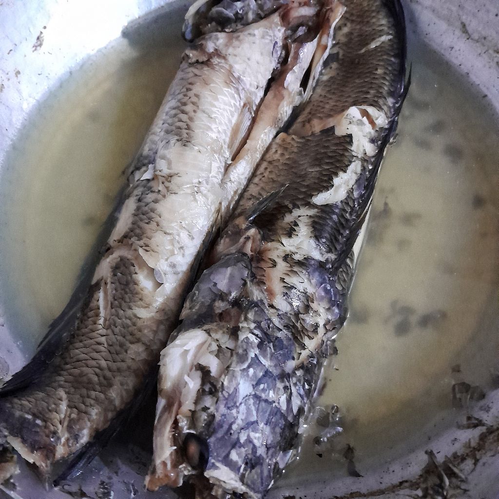 Langkah 1