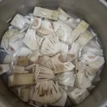 Potong-potong nangka muda, kemudian rebus 7 menit dan sisihkan. Tiriskan lalu bilas bersih.
