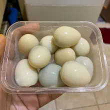 Rebut telur puyuh lalu kupas