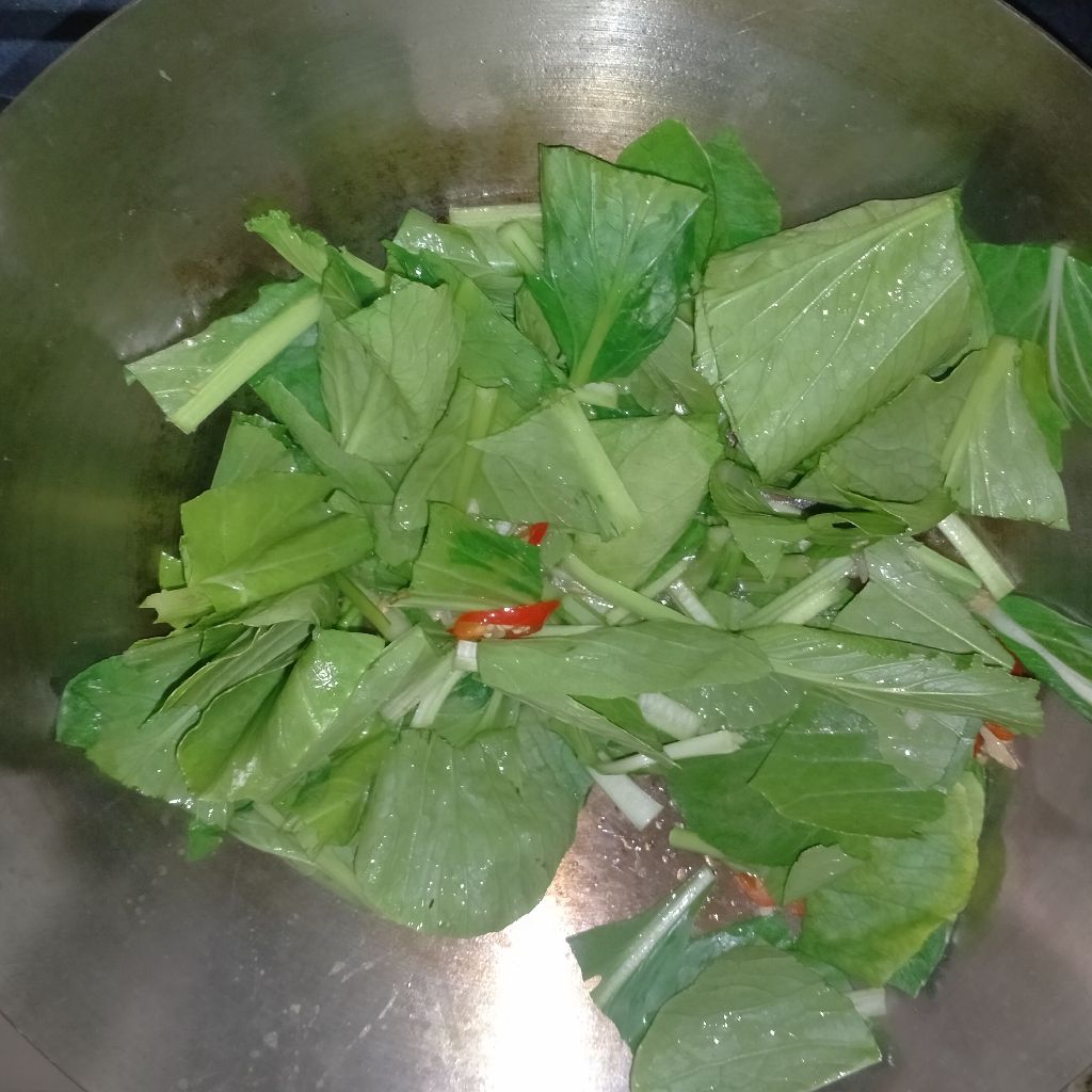 Langkah 5