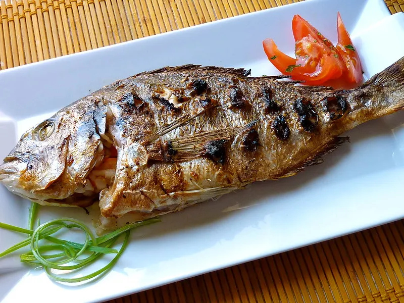 Ikan Makanan untuk Bulking