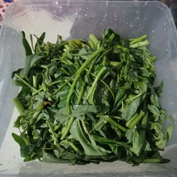 Siangi kangkung cuci sampai bersih