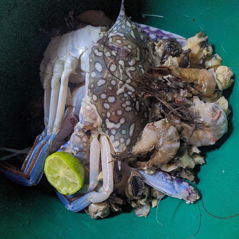 Langkah 1