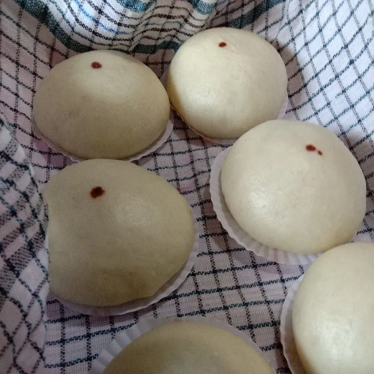 Bakpao ekonomis anti gagal no telur