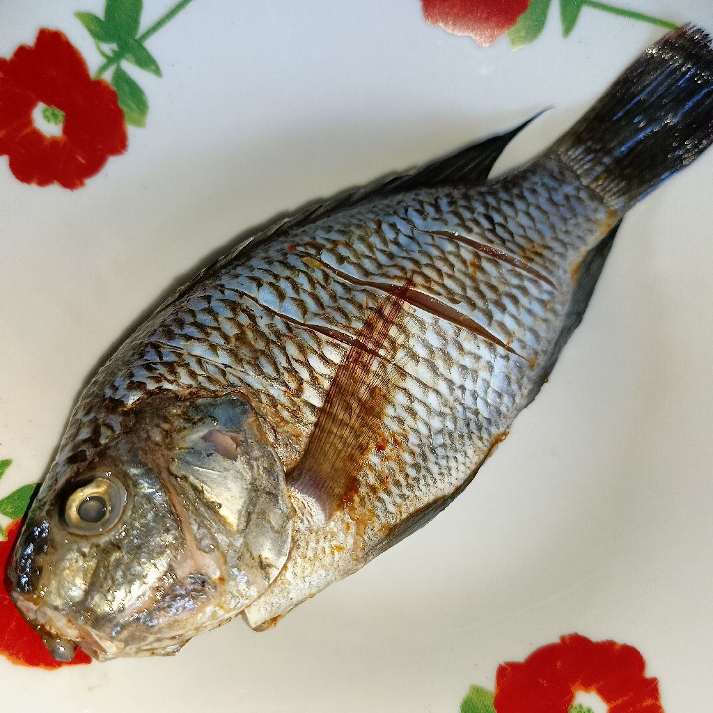Langkah 1