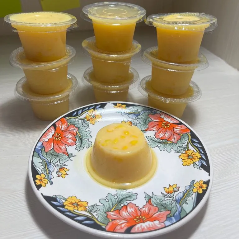 Silky Puding Mangga