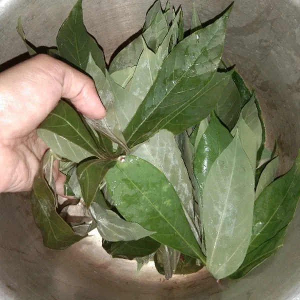 Petik daun singkong dari tangkainya karna kita akan memasak daunnya saja
