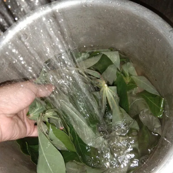 Cuci hingga bersih dauh singkong